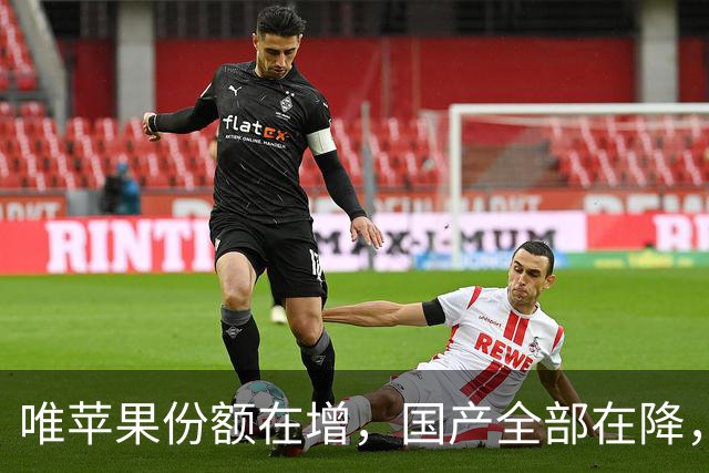唯苹果份额在增，国产全部在降，W41周怎么了？