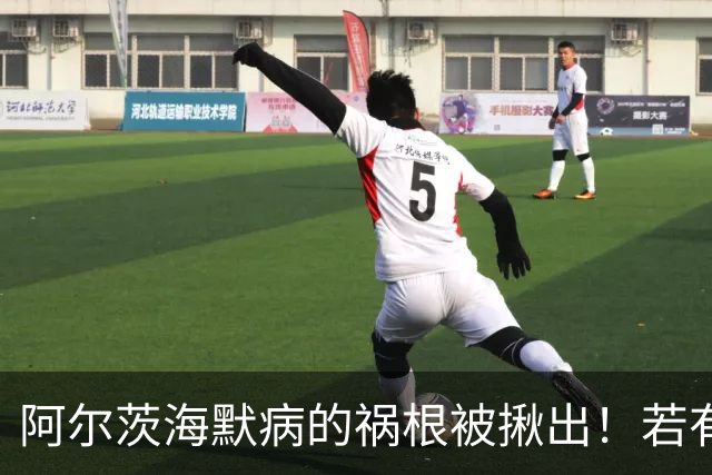 阿尔茨海默病的祸根被揪出！若有这4种吃饭习惯，劝你尽快改掉